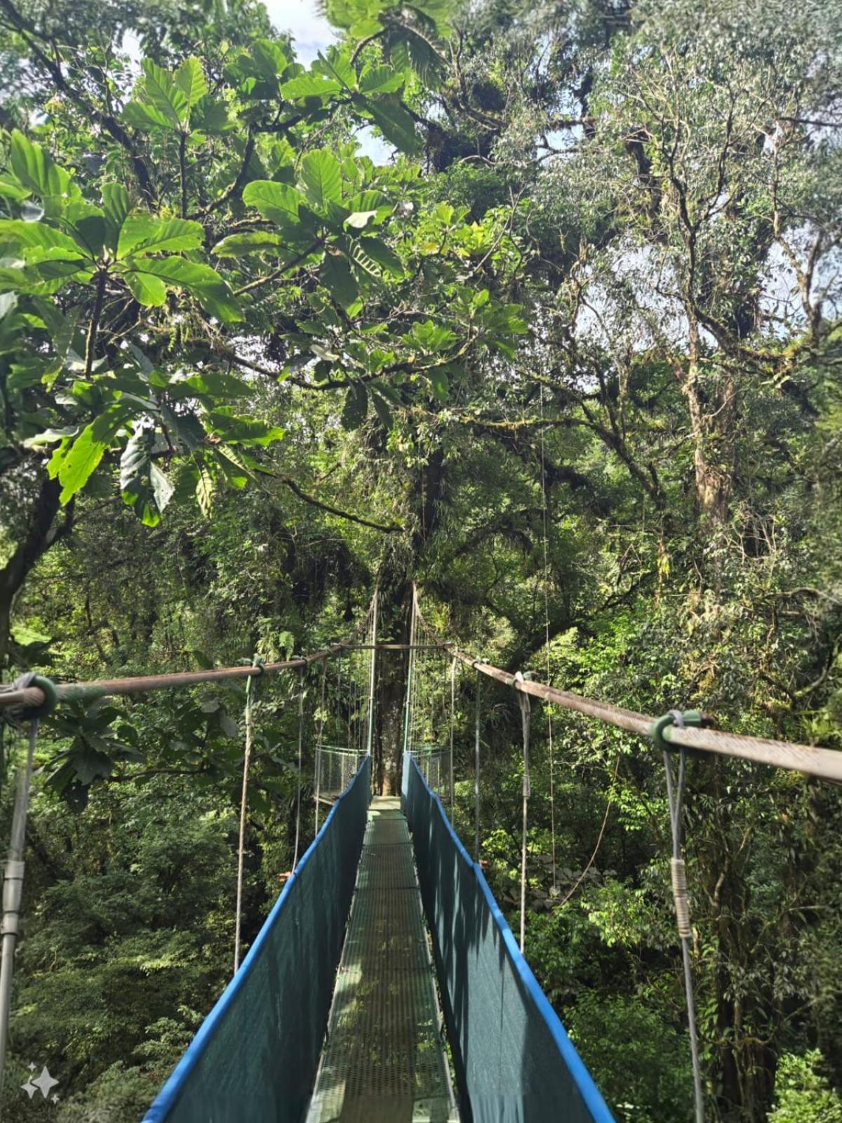 Heliconias Rainforest Lodge Bijagua Luaran gambar