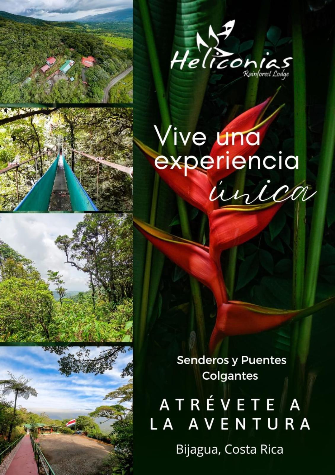 Heliconias Rainforest Lodge Bijagua Luaran gambar