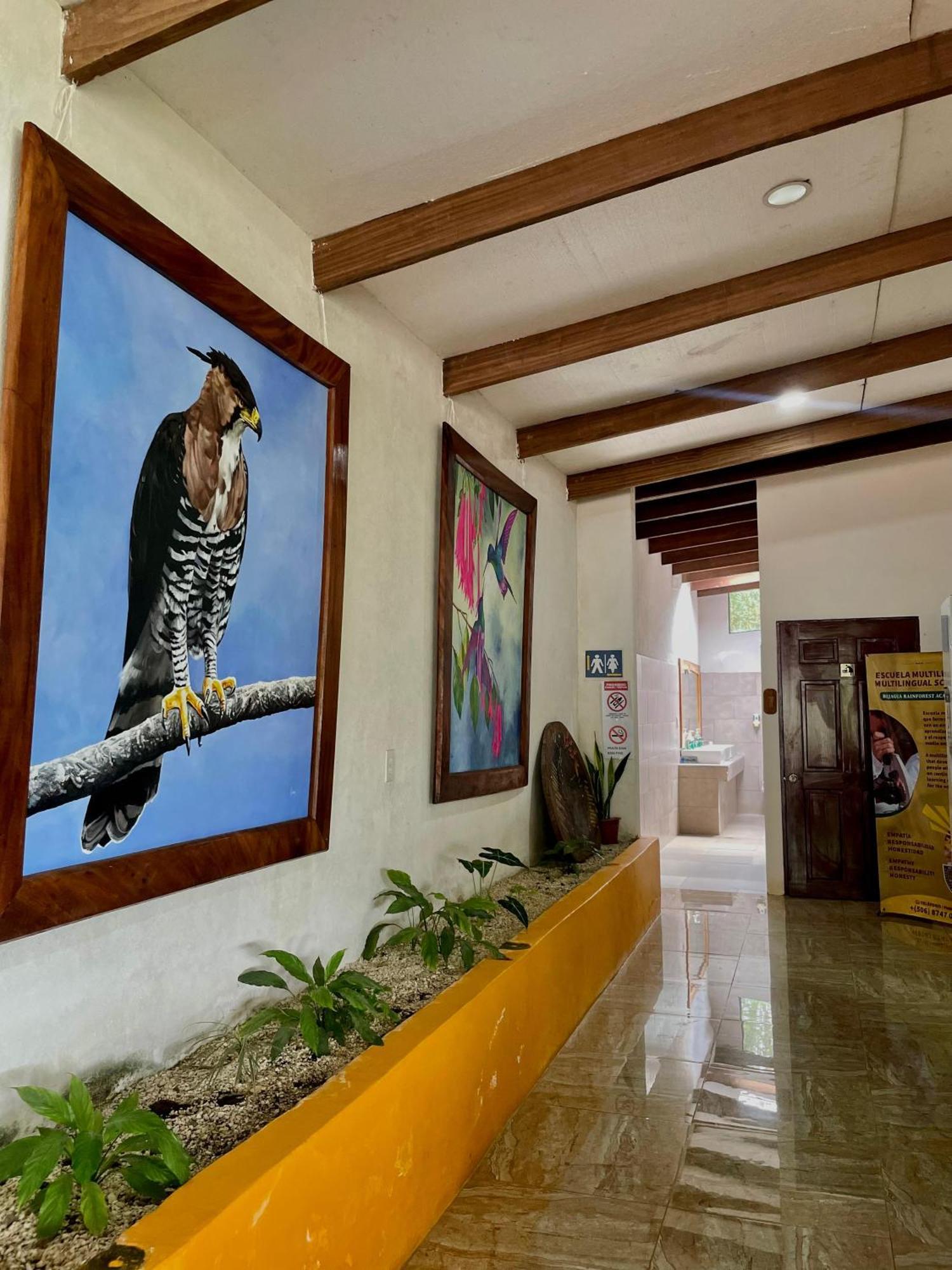 Heliconias Rainforest Lodge Bijagua Luaran gambar