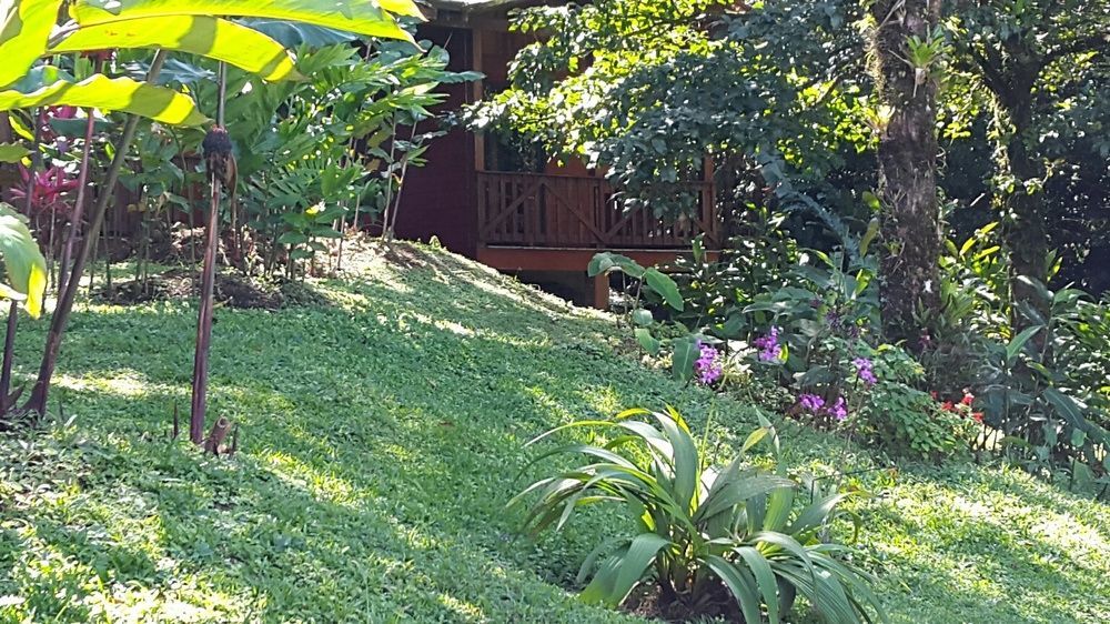 Heliconias Rainforest Lodge Bijagua Luaran gambar